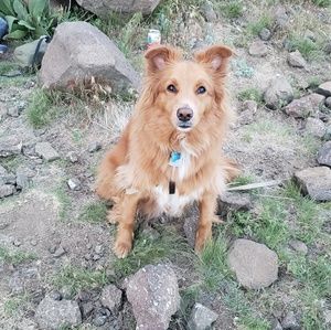 Meet your Posher, Alyxandria